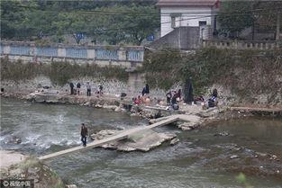 重庆温泉爆料案件最新,揭开背后惊人真相，多角度剖析事件始末