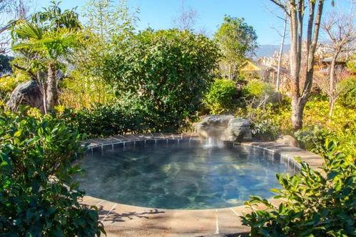 重庆温泉爆料案件最新,揭开背后惊人真相，多角度剖析事件始末