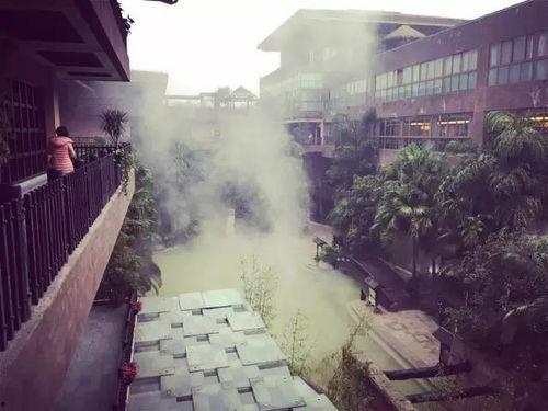 重庆温泉爆料案件最新,揭开背后惊人真相，多角度剖析事件始末