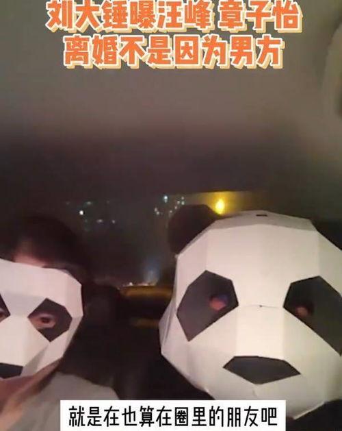 刘大锤最新爆料汪峰视频