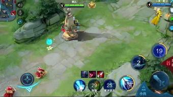 韩信足球大爆料视频,一场足球盛宴背后的精彩故事