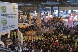 会展中心最新爆料,会展中心最新爆料抢先看