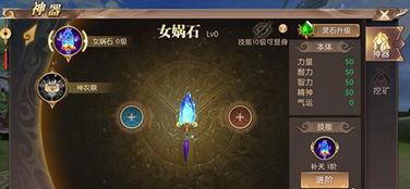 轩辕王子爆料视频大全