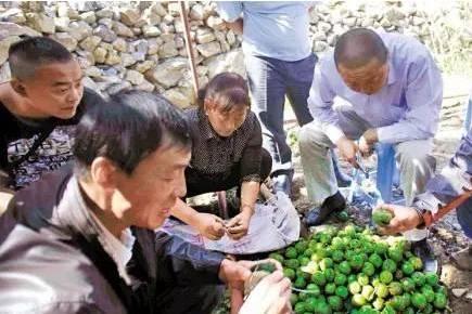 徽县网红吃瓜事件始末,从热议到真相大白