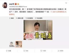 爆料徐小平视频大全下载,视频大全背后的真实人生