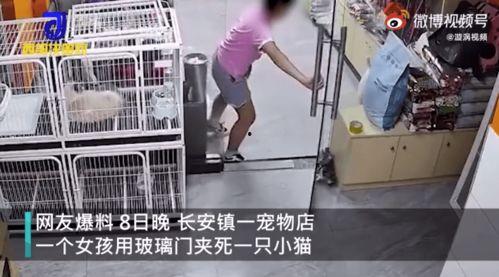 网友爆料宠物店视频