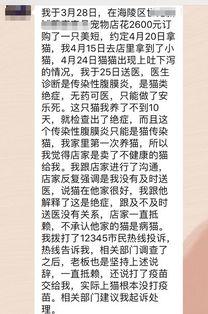 网友爆料宠物店视频