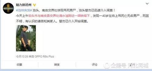 沧州生活爆料事件最新情况