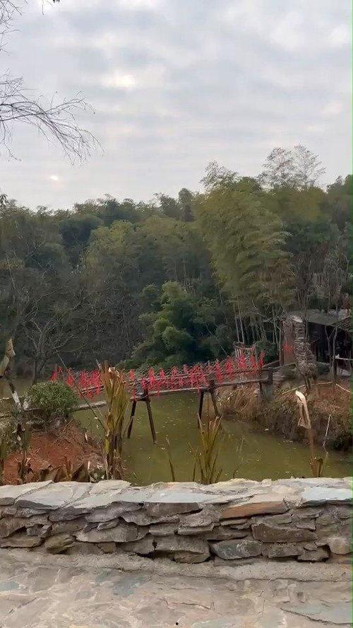 花溪新闻爆料最新视频网,视频揭秘事件真相