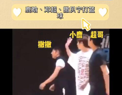 今日爆料官方最新动态,揭秘今日动态背后的惊人真相！