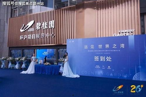 今日爆料官方最新动态,揭秘今日动态背后的惊人真相！