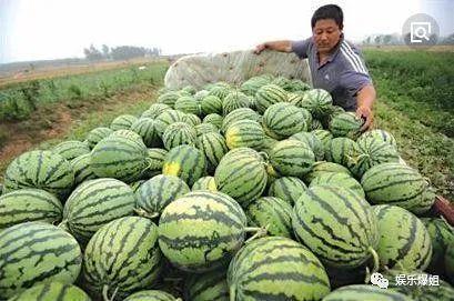 瓜圈吃瓜娱乐圈