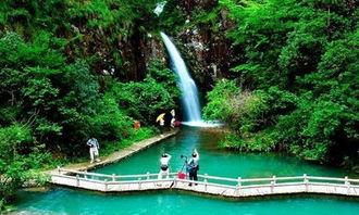 花溪新闻爆料最新一期,揭秘热点事件背后的真相