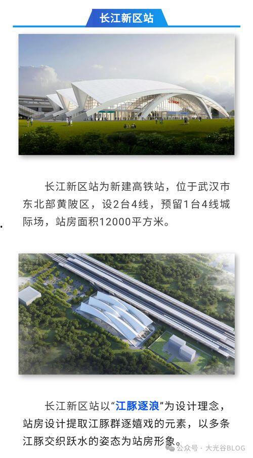 今日武汉爆料新闻,聚焦城市热点事件追踪