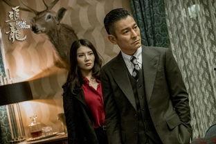 电影追龙在线观看,黑帮风云，传奇人生，在线观影重温经典