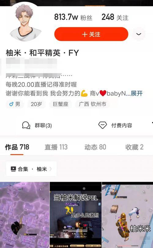 和平精英ss13赛季手册最新爆料,全新爆料揭秘赛季亮点与玩法变革