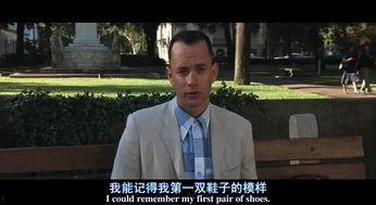 阿甘正传在线观看免费,免费在线观看，见证平凡人生的非凡传奇