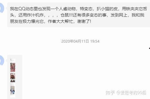 今日动物爆料最新消息视频,揭秘神奇动物世界新发现