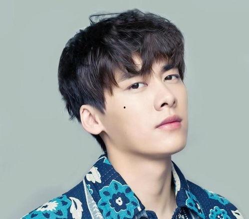 李易峰被爆料脏辫视频