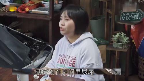 那英杨紫张艺兴最新爆料,揭秘娱乐圈背后的故事