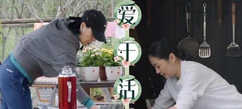 那英杨紫张艺兴最新爆料,揭秘娱乐圈背后的故事