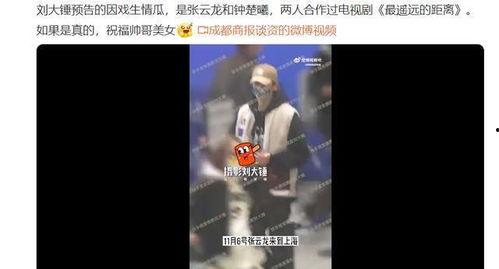 刘大锤爆料今日视频,揭秘今日热门视频背后的惊人真相！