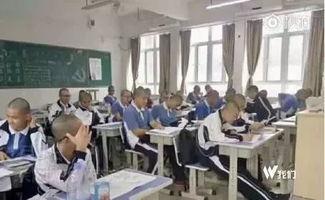 职校打工爆料视频真实案例,揭秘真实爆料视频背后的辛酸故事