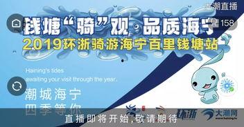 在线观看钱塘,一场视觉盛宴的在线之旅