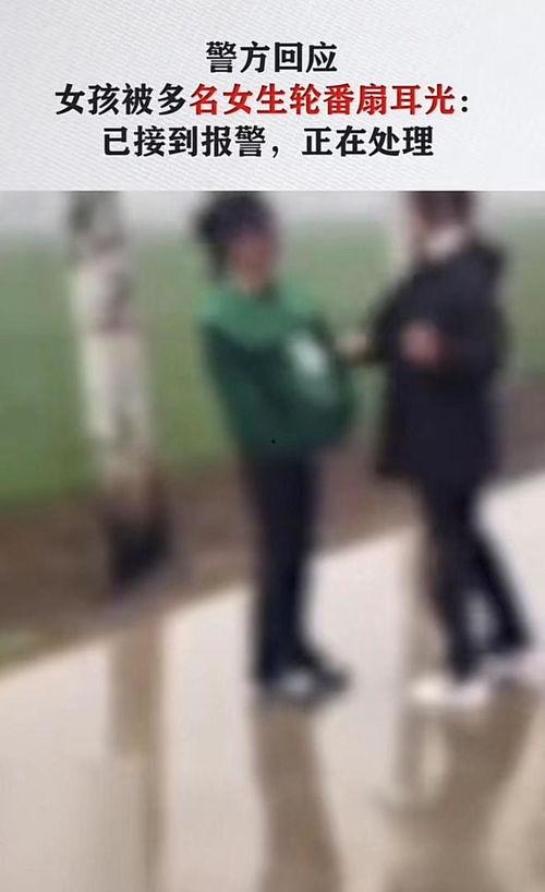 河南爆料女孩视频播放大全,揭秘网络热点背后的真相