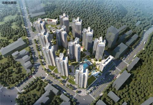 海伦堡爆料最新消息今天,揭秘今日热点事件内幕