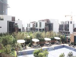 海伦堡爆料最新消息今天,揭秘今日热点事件内幕