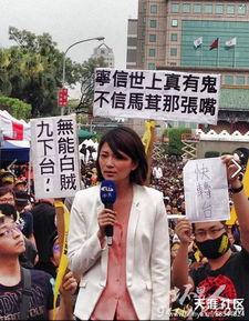 台湾主持人爆料新闻视频,揭秘幕后黑幕与真相