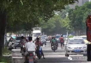 汕头车祸爆料事件最新,悲剧瞬间，真相待解