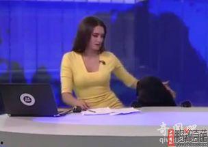 北京美女爆料新闻报道视频,揭秘网红幕后真相