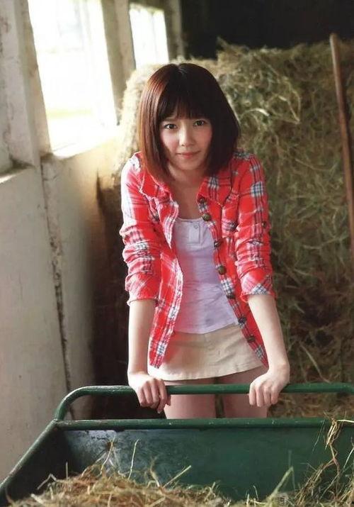 岛野遥香在线观看